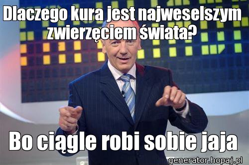 Dlaczego kura jest najweselszym zwierzęciem świata?