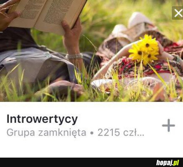 INTROWERTYCY - GRUPA ZAMKNIĘTA