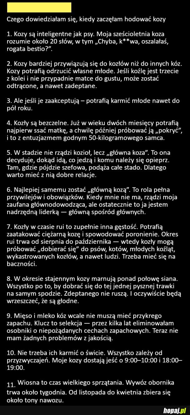 Czego dowiedziałam się, kiedy zaczęłam hodować kozy