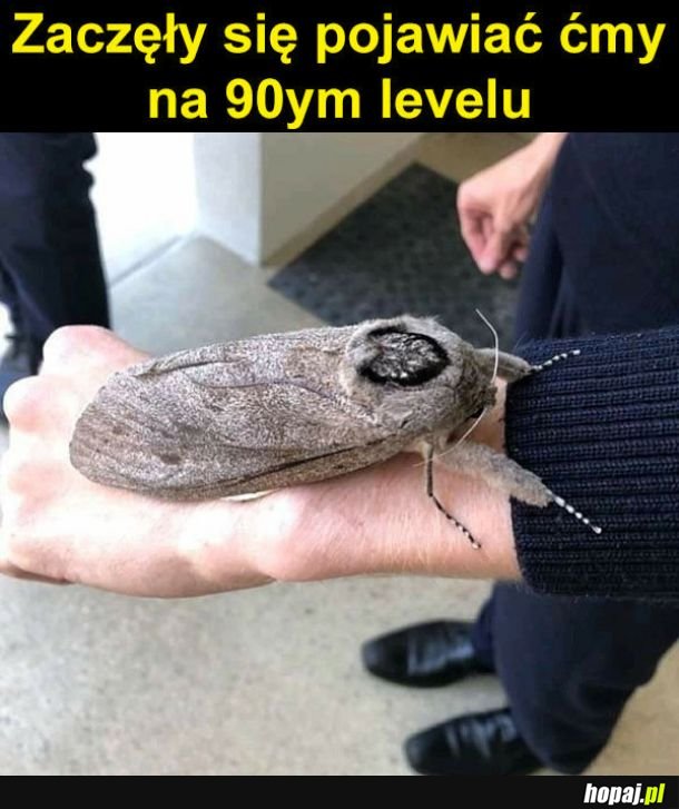 Wielgaśne