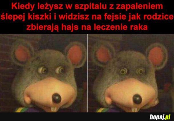 Zaraz, co...