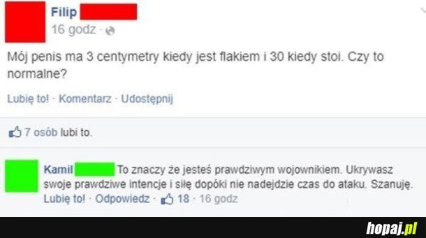 PRAWDZIWY WOJOWNIK