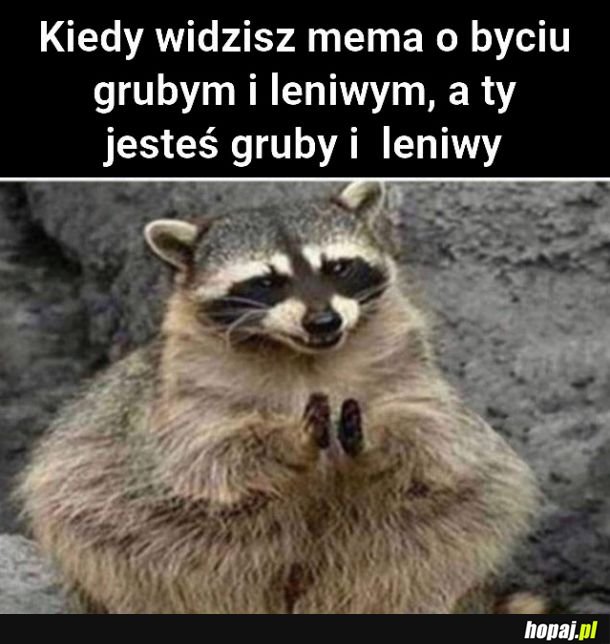  Świetnie 