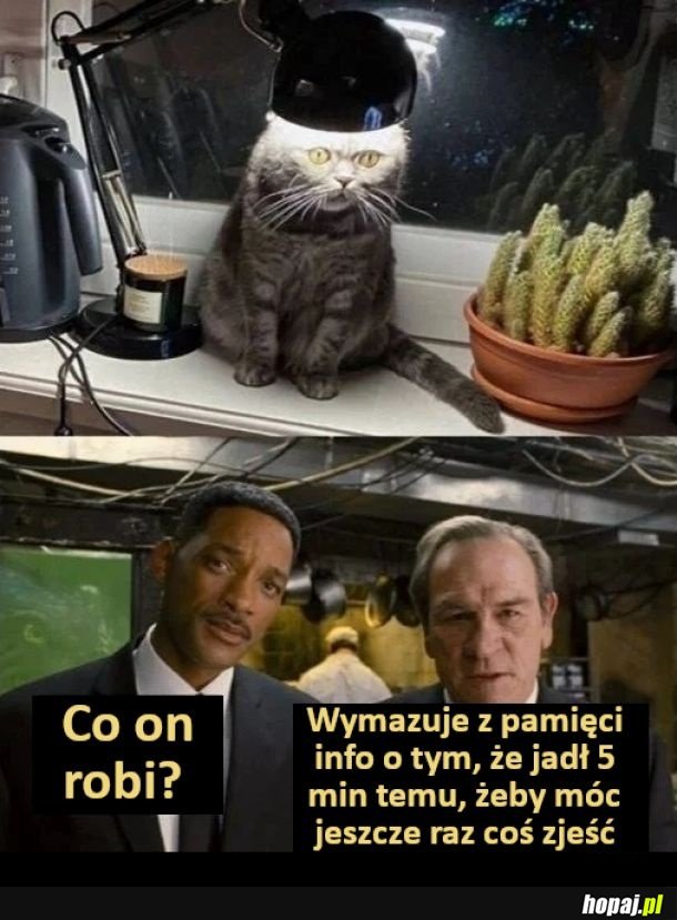Reset pamięci