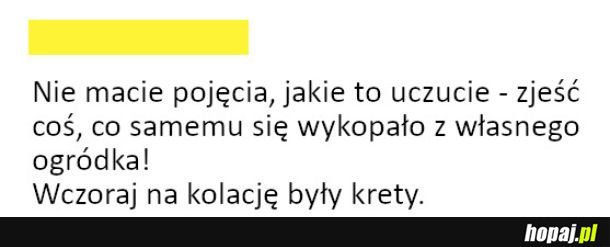 Wspaniałe uczucie