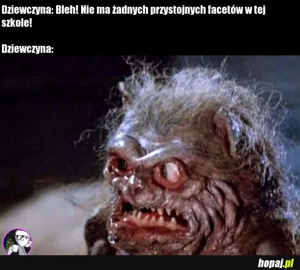 No offense