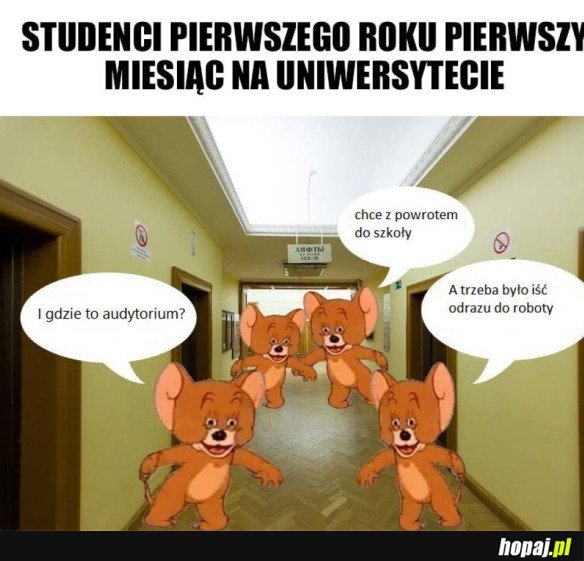 PIERWSZY MIESIĄC NA UCZELNI