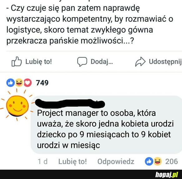 Project manager