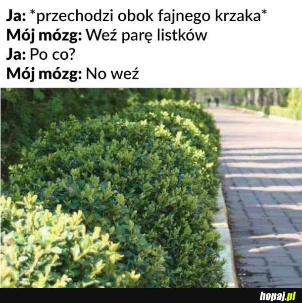 No weź 