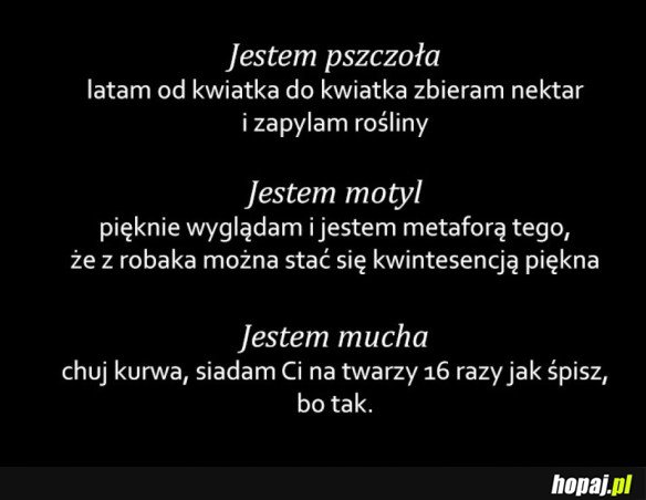 JESTEM OWADEM