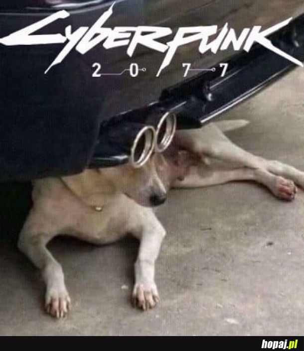 Cyberpunk