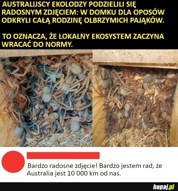 Radość aż się wylewa z tego zdjęcia