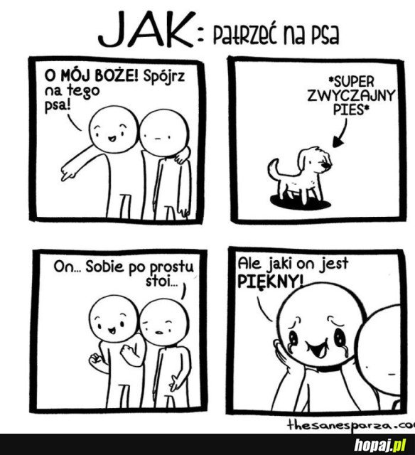 JAK PATRZEĆ NA PSA