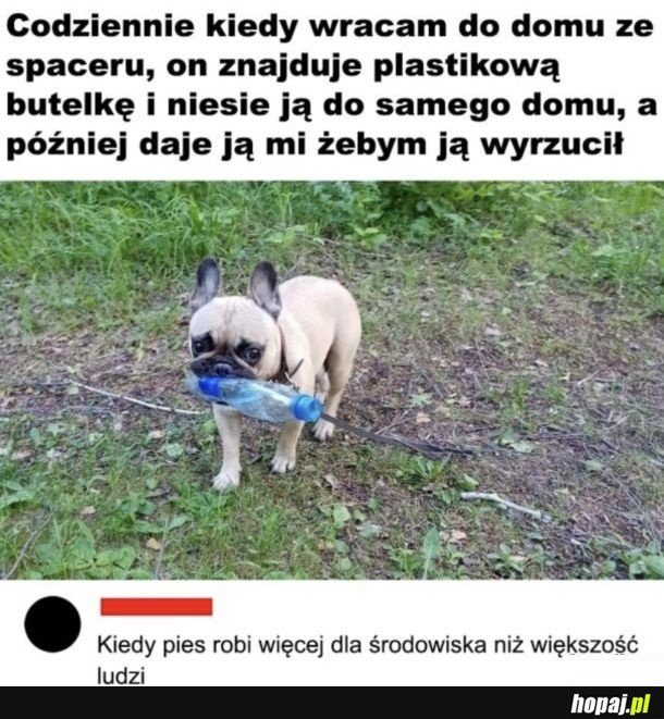 On mnie bardziej skłania do dbania o środowisko