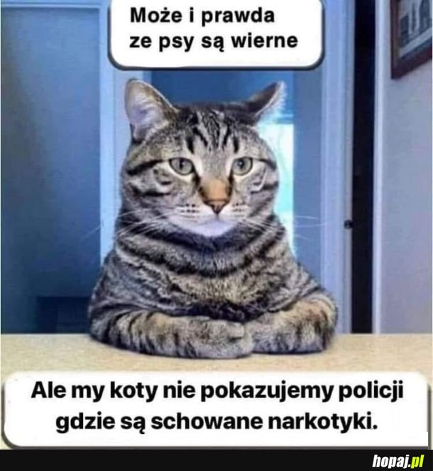 Prawdziwy przyjaciel