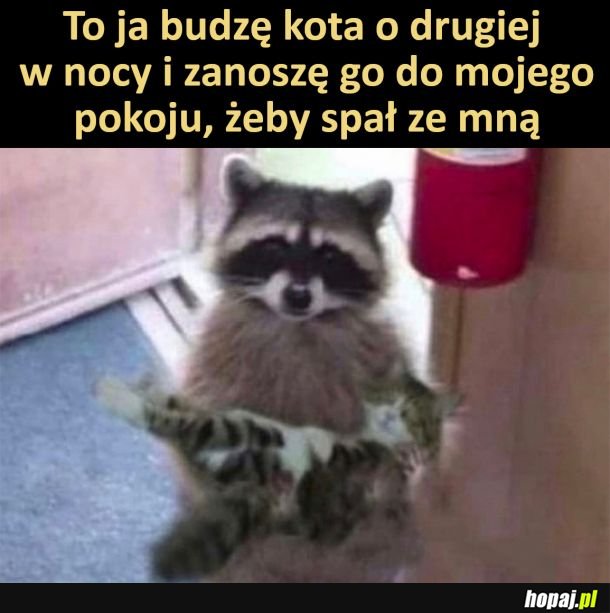 Chodź kitku ze mną spać