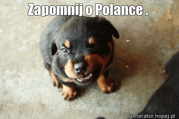 Zapomnij o Polance .