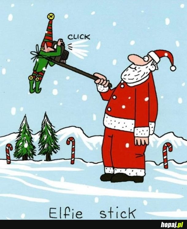 Elfie stick