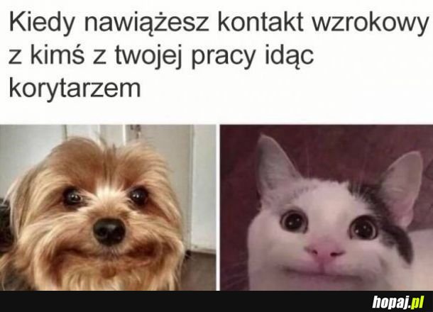 Kontakt wzrokowy