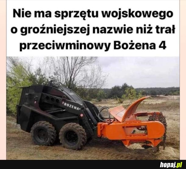 Bożenka