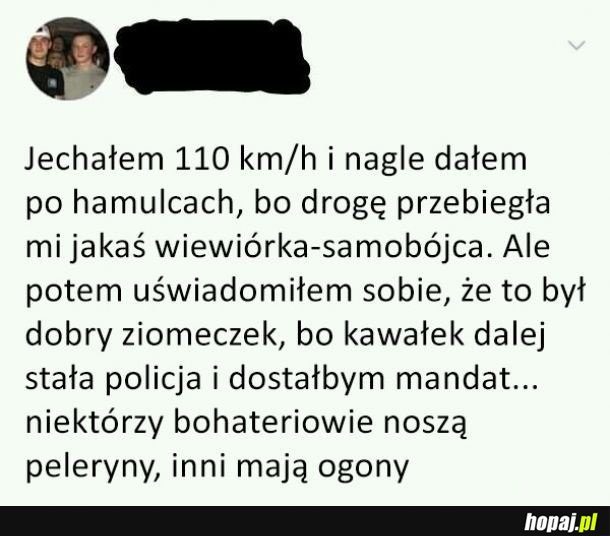 Dobry ziomek