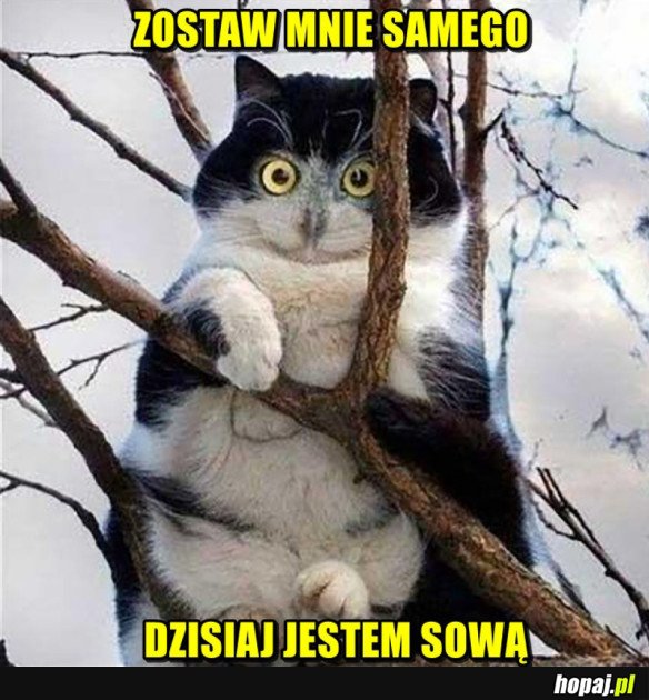 IDŹ SOBIE!