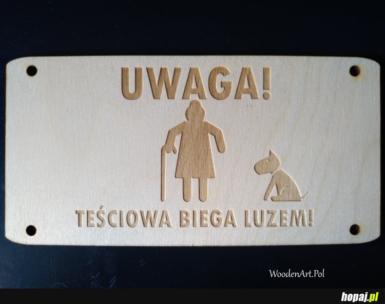 Https://allegro.pl/oferta/uwaga-zly-pies-tesciowa-biega-luzem-tabliczka-10902143093