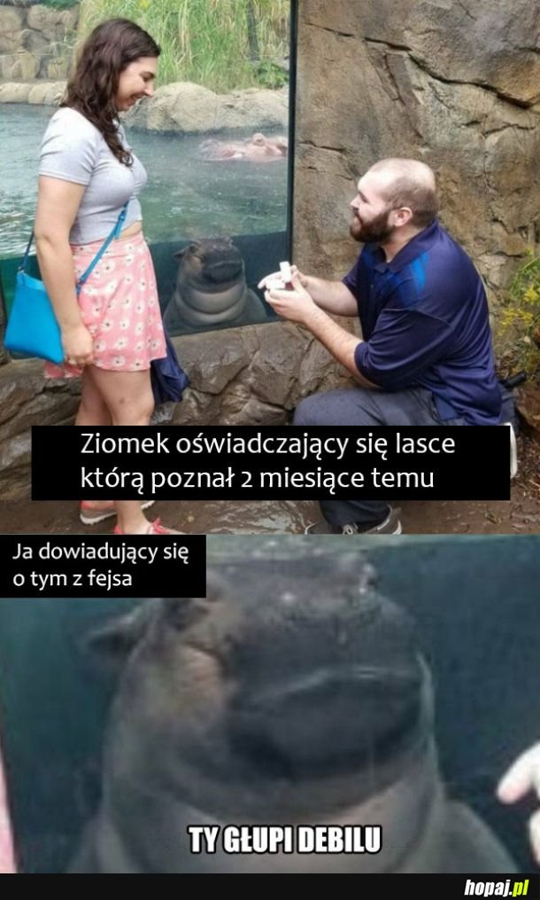 Szybkie oświadczyny