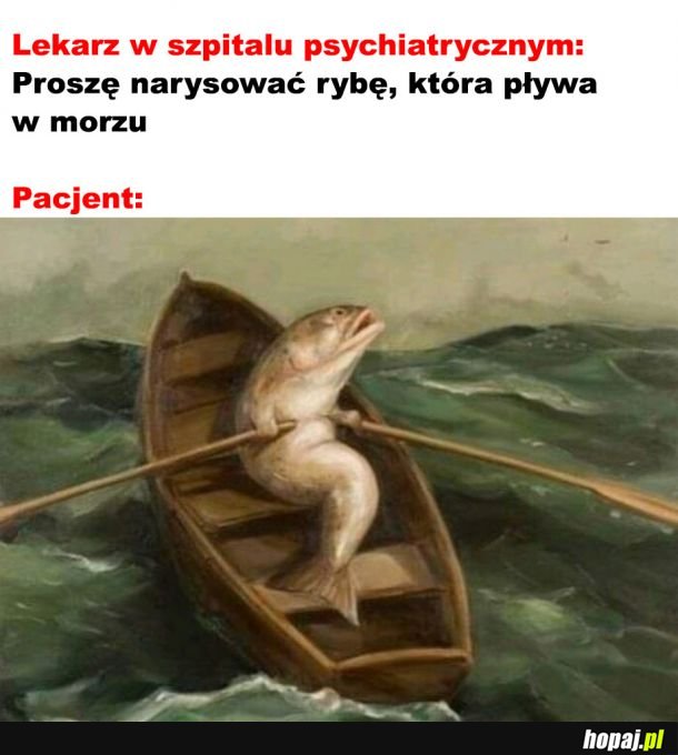  Pływająca ryba 