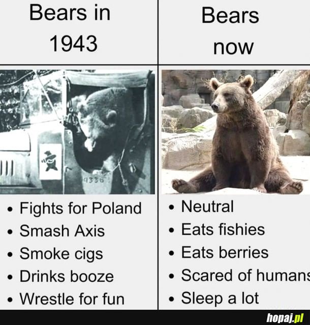 Kiedyś to było, teraz to nie ma