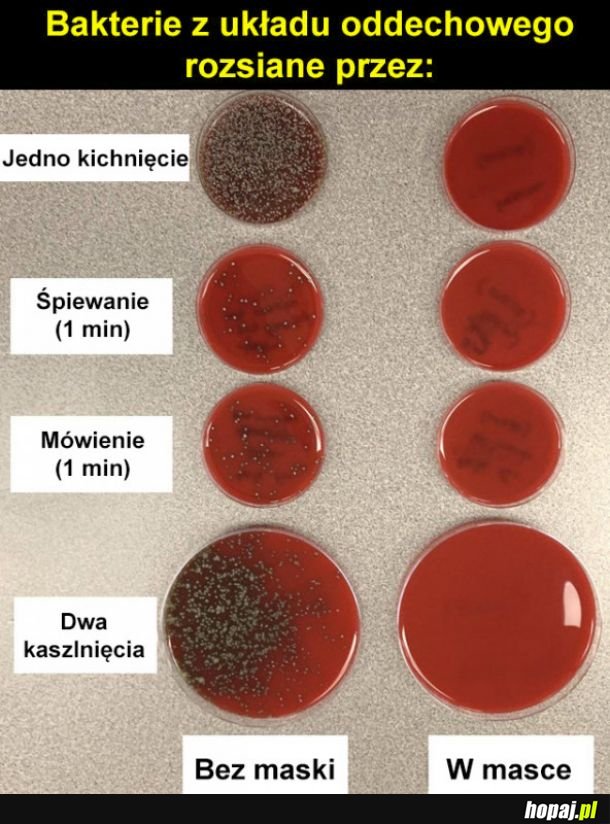 Jakby jeszcze ktoś nie rozumiał jak to działa