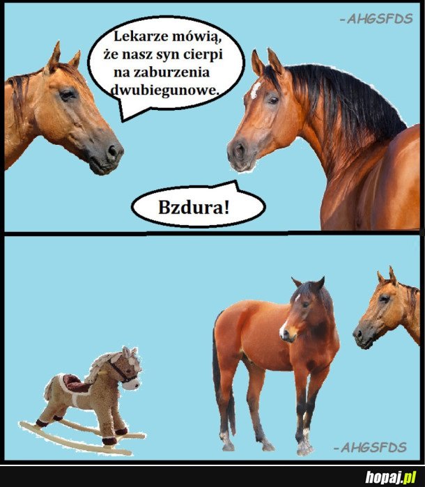 LEKARZE MÓWIĄ ŻE NASZ SYN CIERPI NA ZABURZENIE DWUBIEGUNOWE