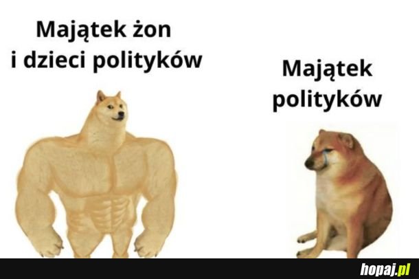 Bogate żony im się trafiają