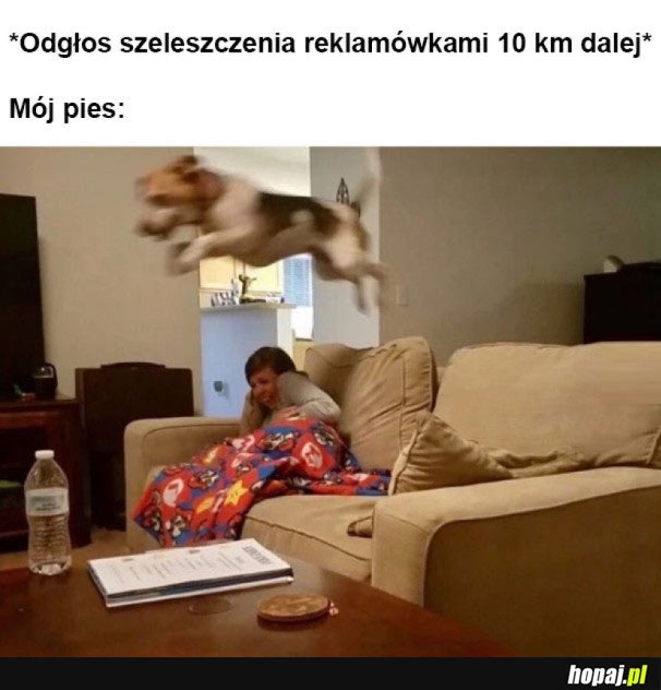 ZA KAŻDYM RAZEM 