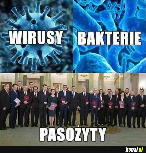 Bardzo nielubiane drobnoustroje