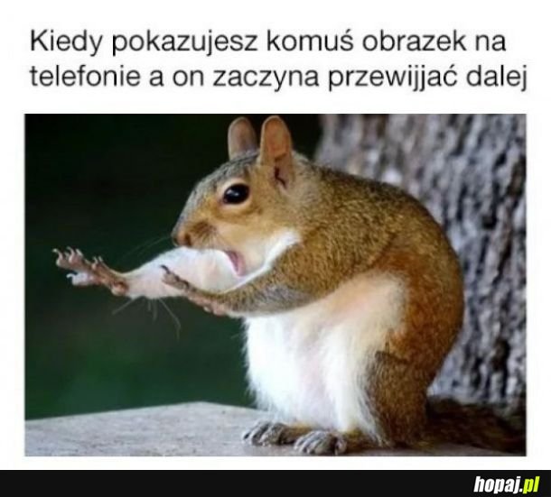 Nie przewijaj!