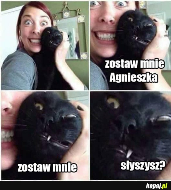 NO ZOSTAW