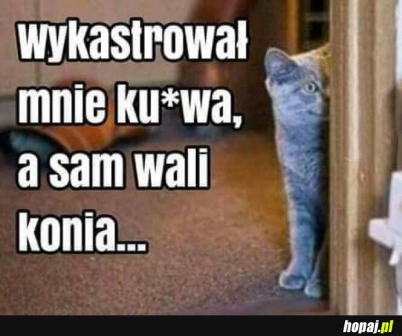 ŚWIETNIE CZŁOWIEK