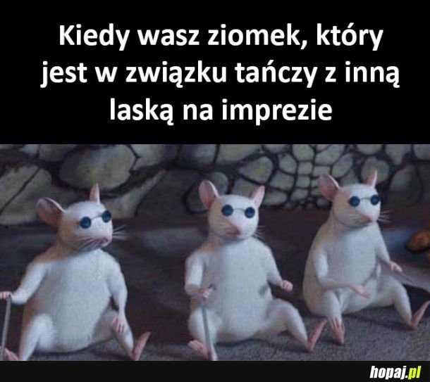 Nic nie widzimy