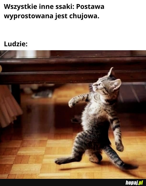 Ludzie są jacyś dziwni