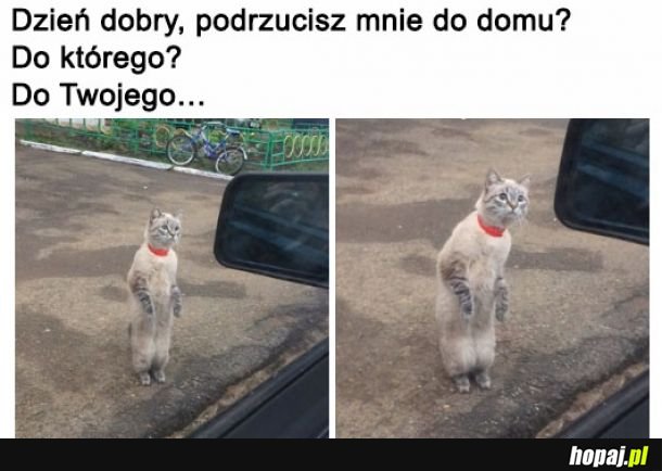  Nie da się odmówić