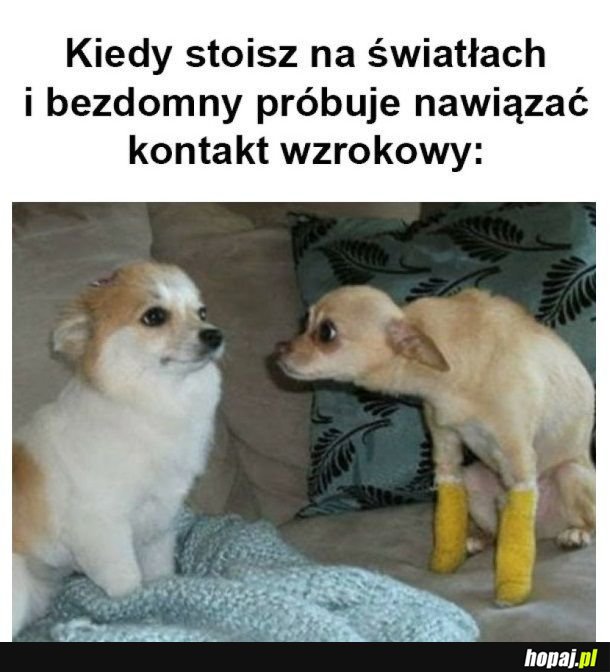 To uczucie