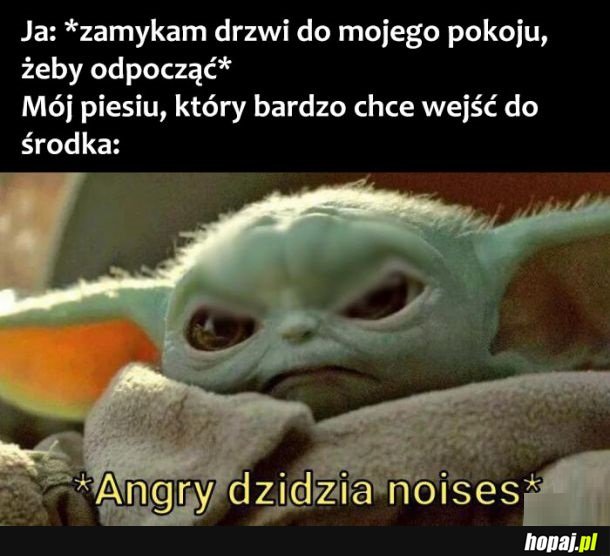 Dzidzia