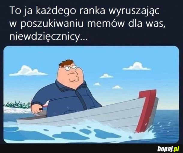 W poszukiwaniu memów