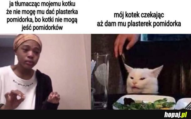  I tak codziennie