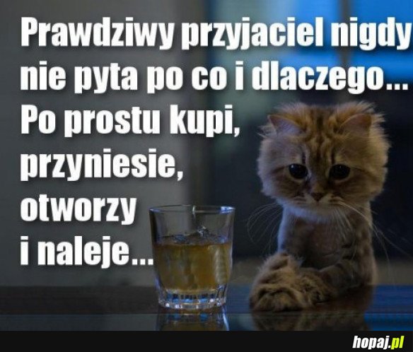 Prawdziwy przyjaciel