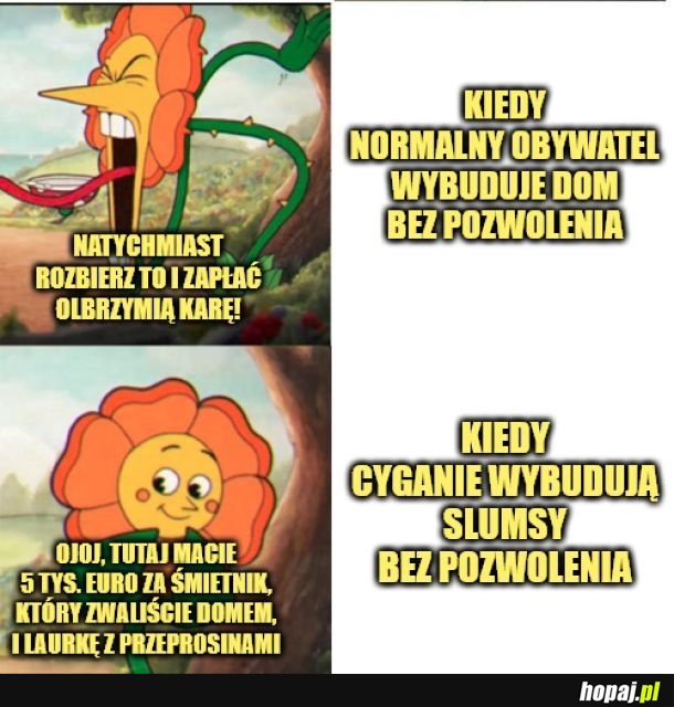 Xd