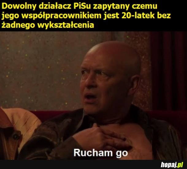 Misiu, Harry Potter, Harry Potter
