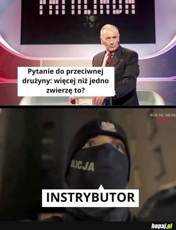 Instrybutor