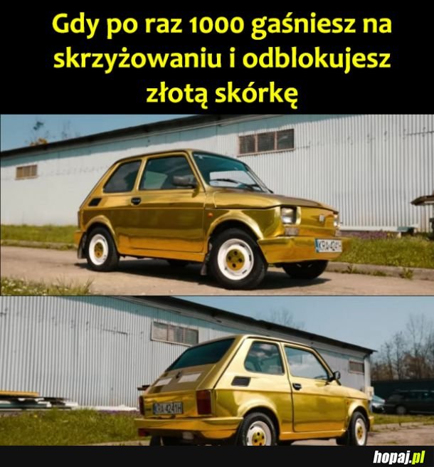 Złota skórka